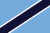 Flagge von West-Nerica
